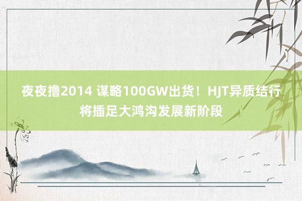 夜夜撸2014 谋略100GW出货！HJT异质结行将插足大鸿沟发展新阶段