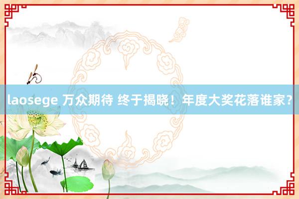 laosege 万众期待 终于揭晓！年度大奖花落谁家？