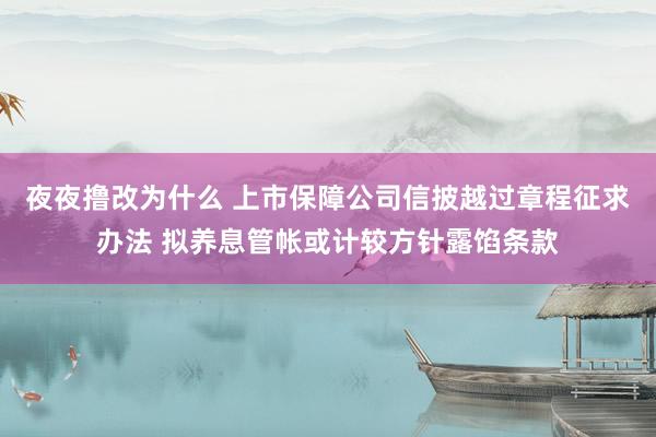 夜夜撸改为什么 上市保障公司信披越过章程征求办法 拟养息管帐或计较方针露馅条款