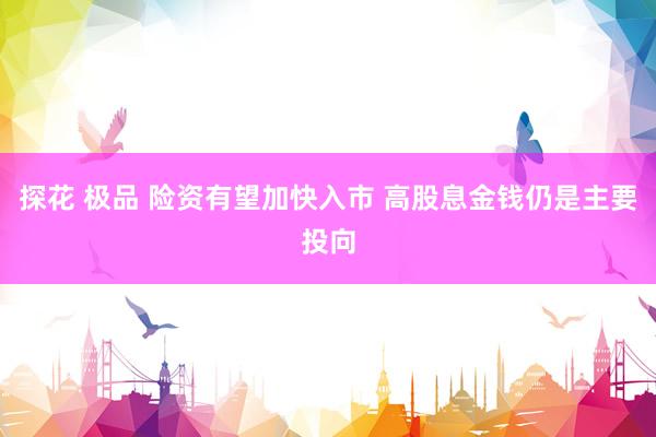 探花 极品 险资有望加快入市 高股息金钱仍是主要投向