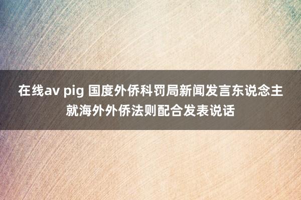 在线av pig 国度外侨科罚局新闻发言东说念主就海外外侨法则配合发表说话