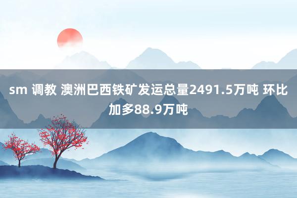 sm 调教 澳洲巴西铁矿发运总量2491.5万吨 环比加多88.9万吨