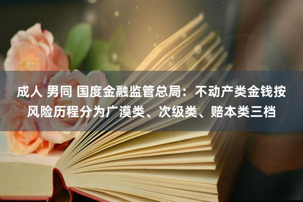 成人 男同 国度金融监管总局：不动产类金钱按风险历程分为广漠类、次级类、赔本类三档