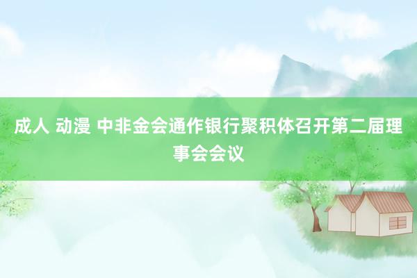 成人 动漫 中非金会通作银行聚积体召开第二届理事会会议
