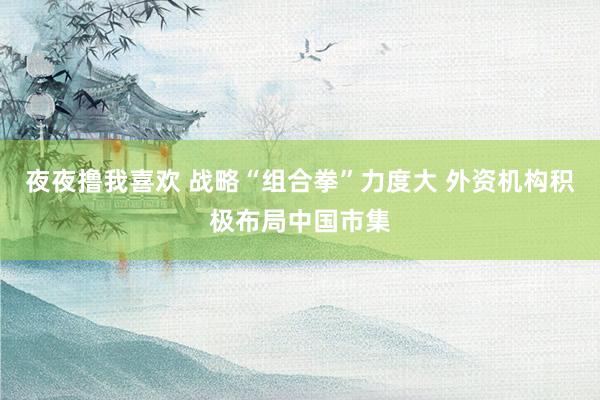夜夜撸我喜欢 战略“组合拳”力度大 外资机构积极布局中国市集
