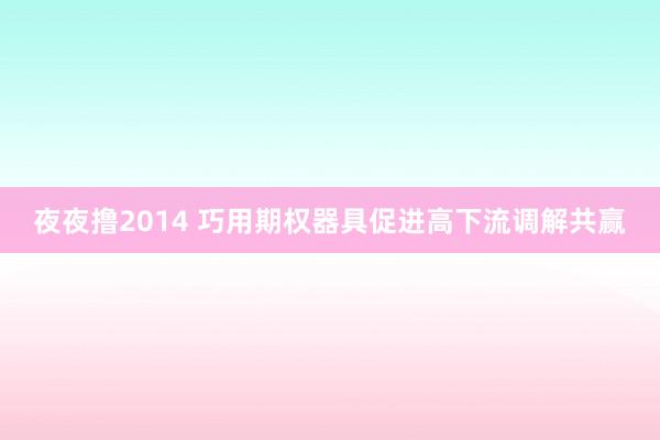 夜夜撸2014 巧用期权器具促进高下流调解共赢