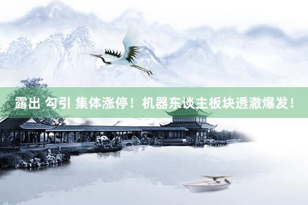 露出 勾引 集体涨停！机器东谈主板块透澈爆发！